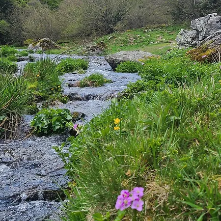 Ariege Maison Spacieuse Avec Jardin, Ideale Familles & Amis 別荘